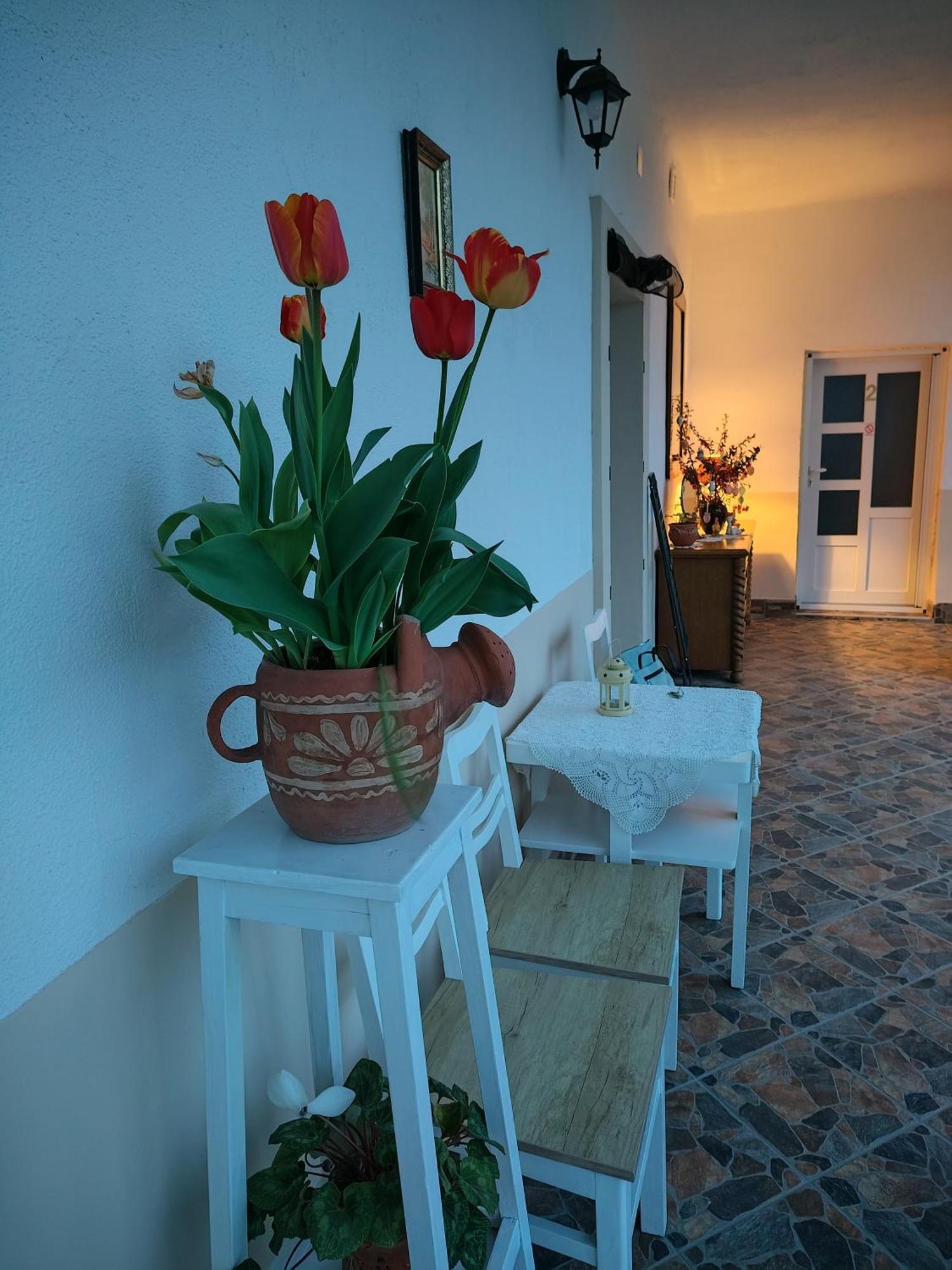 Apartman Katarina Backi Monostor Exterior foto